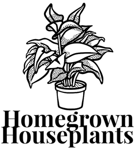 Homegrown Houseplants